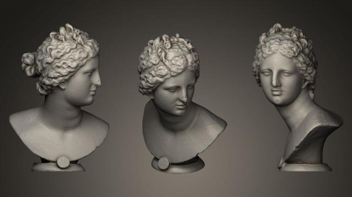 Busts and heads antique and historical