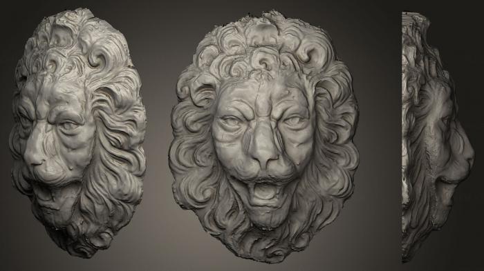 Masks and muzzles of animals